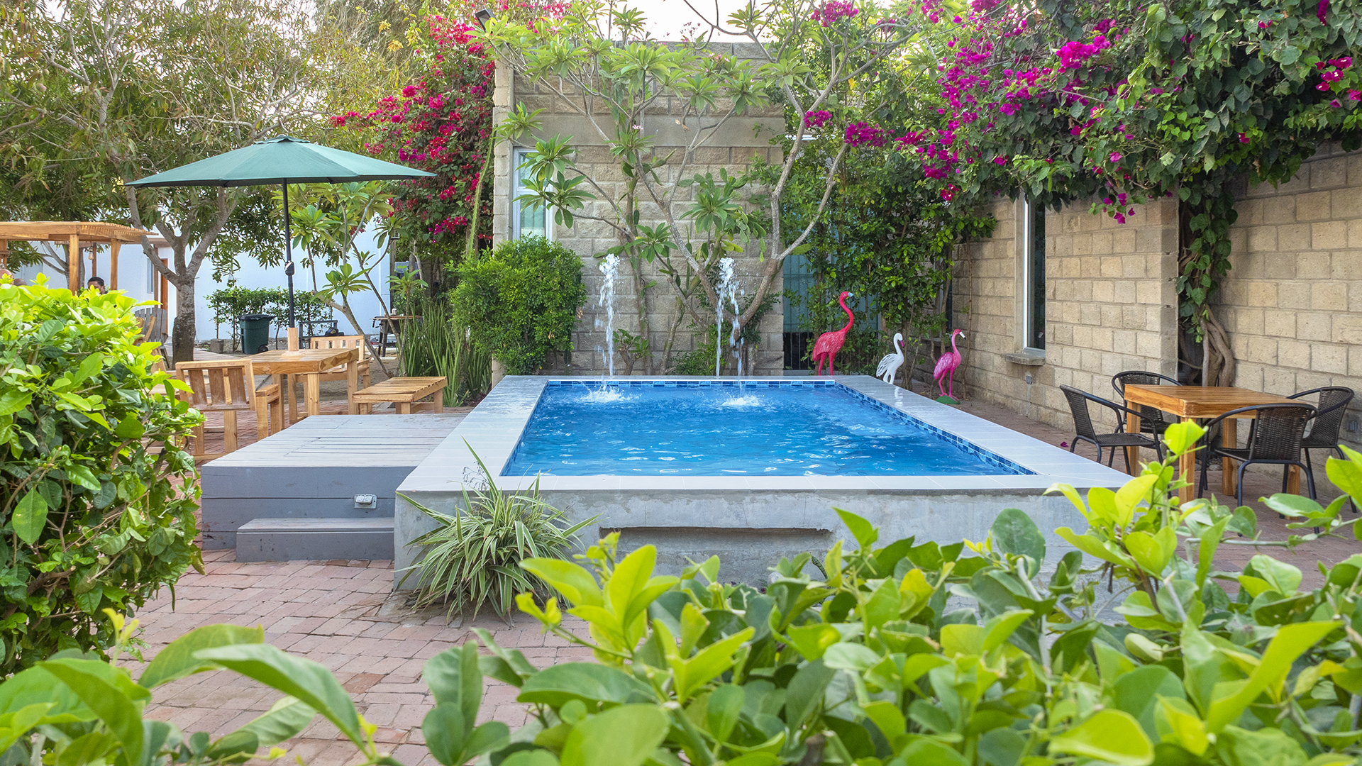 Compound — panoramic pool area